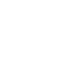 HawkSight-White