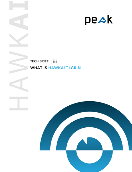 What is HawkAI™️ LGRIN