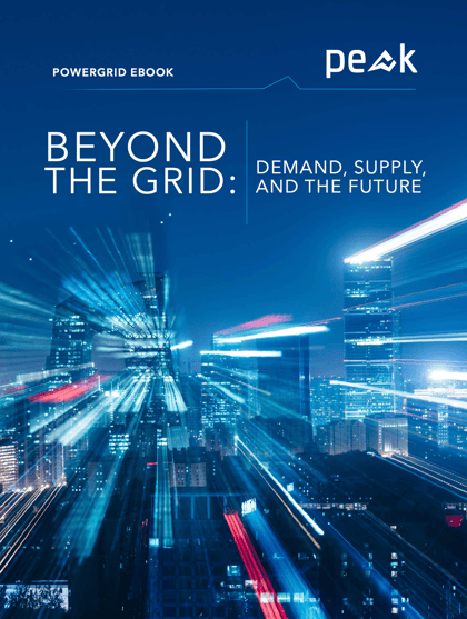 BEYOND THE GRID: DEMAND, SUPPLY, AND THE FUTURE