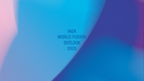 The IAEA World Fusion Outlook 2025