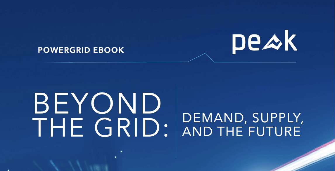 BEYOND THE GRID: DEMAND, SUPPLY, AND THE FUTURE image